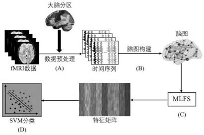 Modular feature selection method for brain disease classification