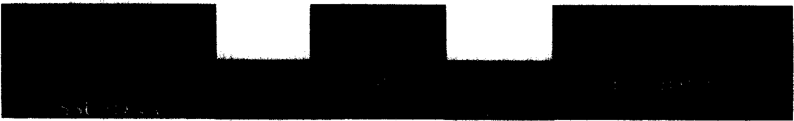 Probe and method for detecting heterosigma akashiwo