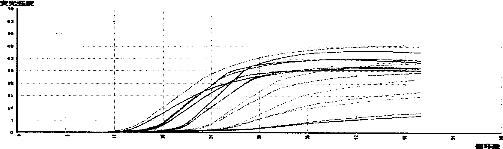 Probe and method for detecting heterosigma akashiwo