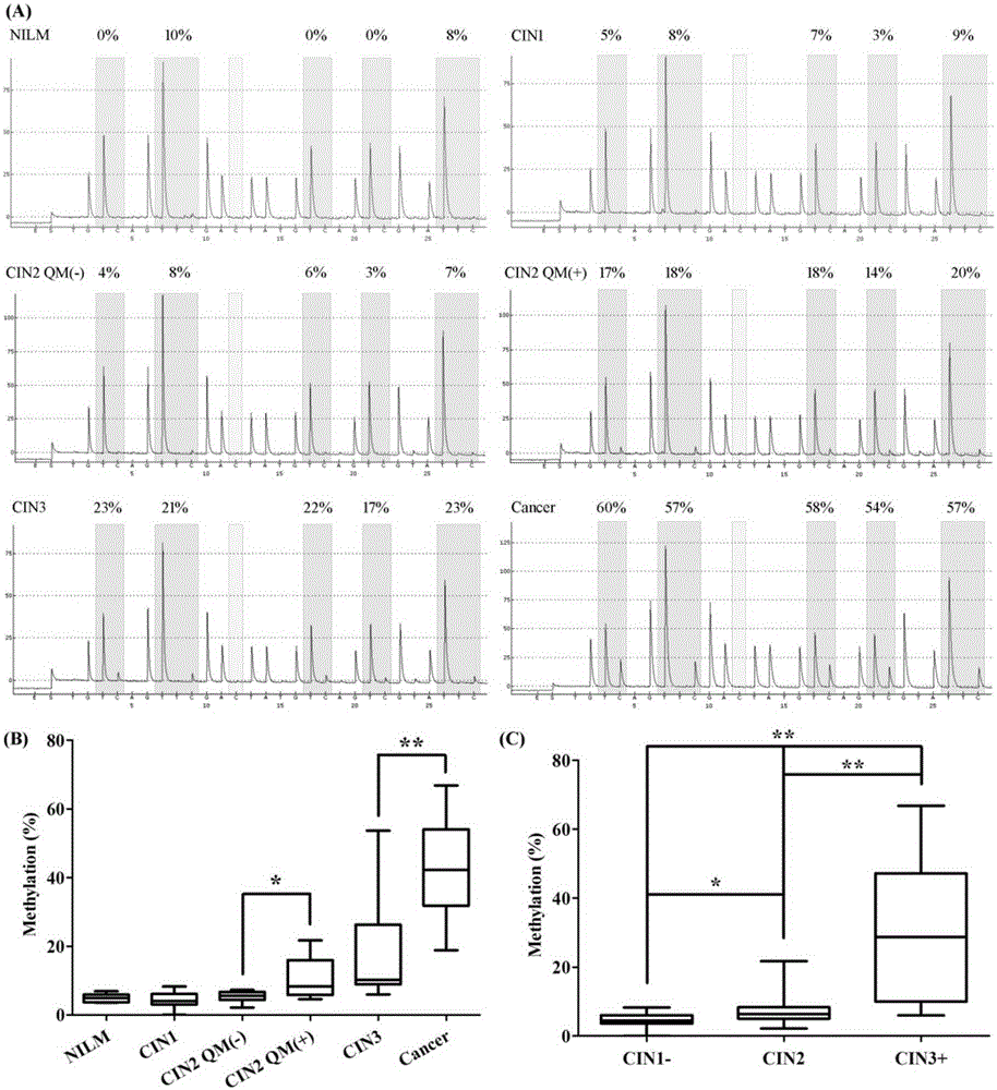 Molecular marker for early screening cervical cancer and detecting primers