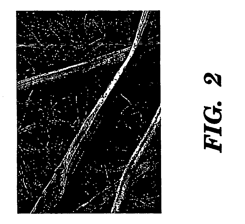 Silk biomaterials and methods of use thereof