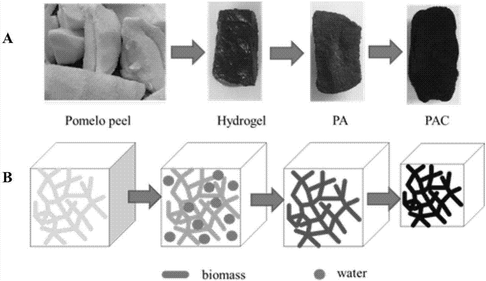 Preparation method of hydrophobic low-density shaddock peel carbon aerogel and application thereof