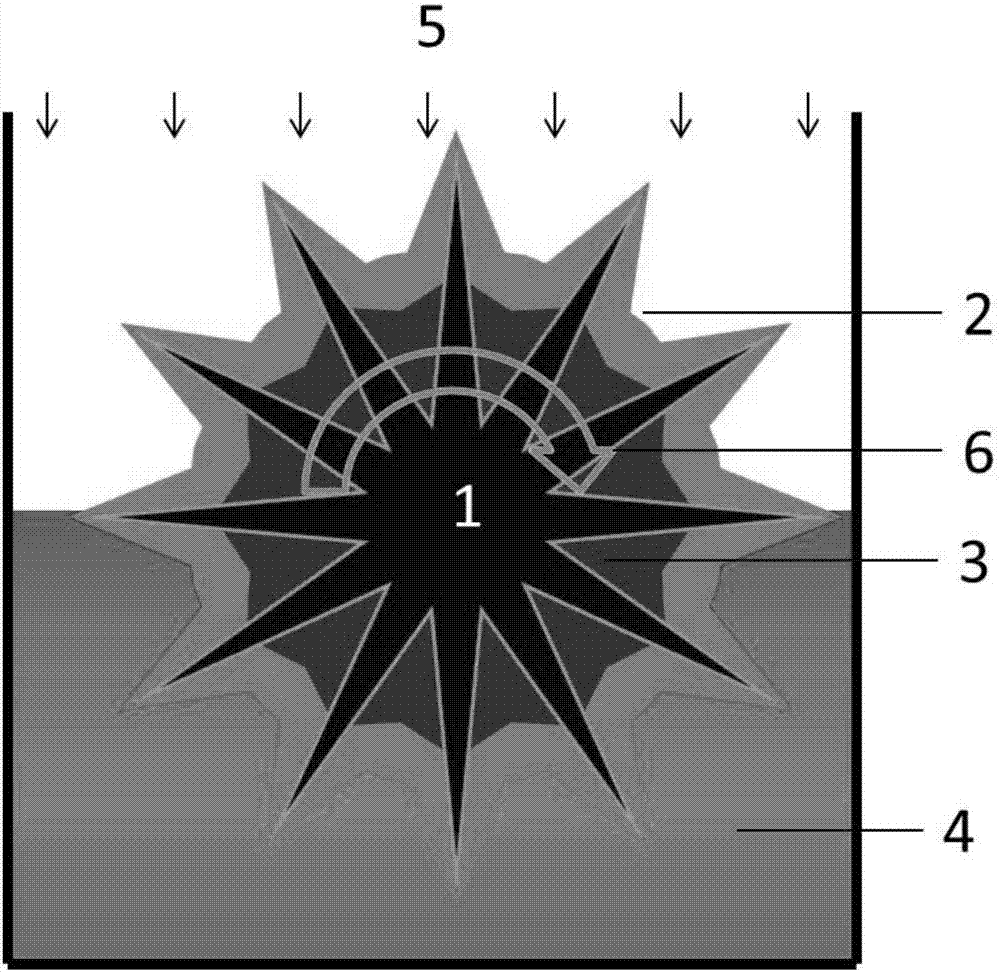 Electrochemical biological rotating disc sewage treatment method for aerobic micro-organisms