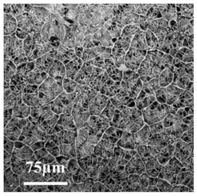 Dental implant surface flexible structure and construction method thereof