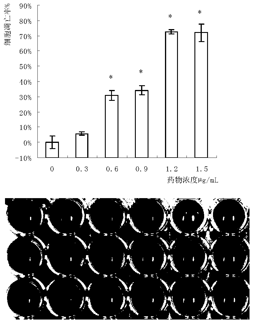 Pleurotus citrinopileatus protein extractive and application thereof in tumor resisting