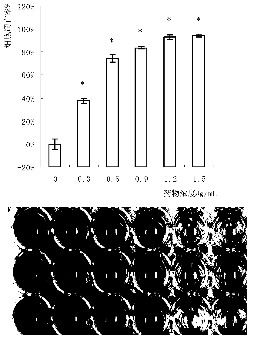 Pleurotus citrinopileatus protein extractive and application thereof in tumor resisting