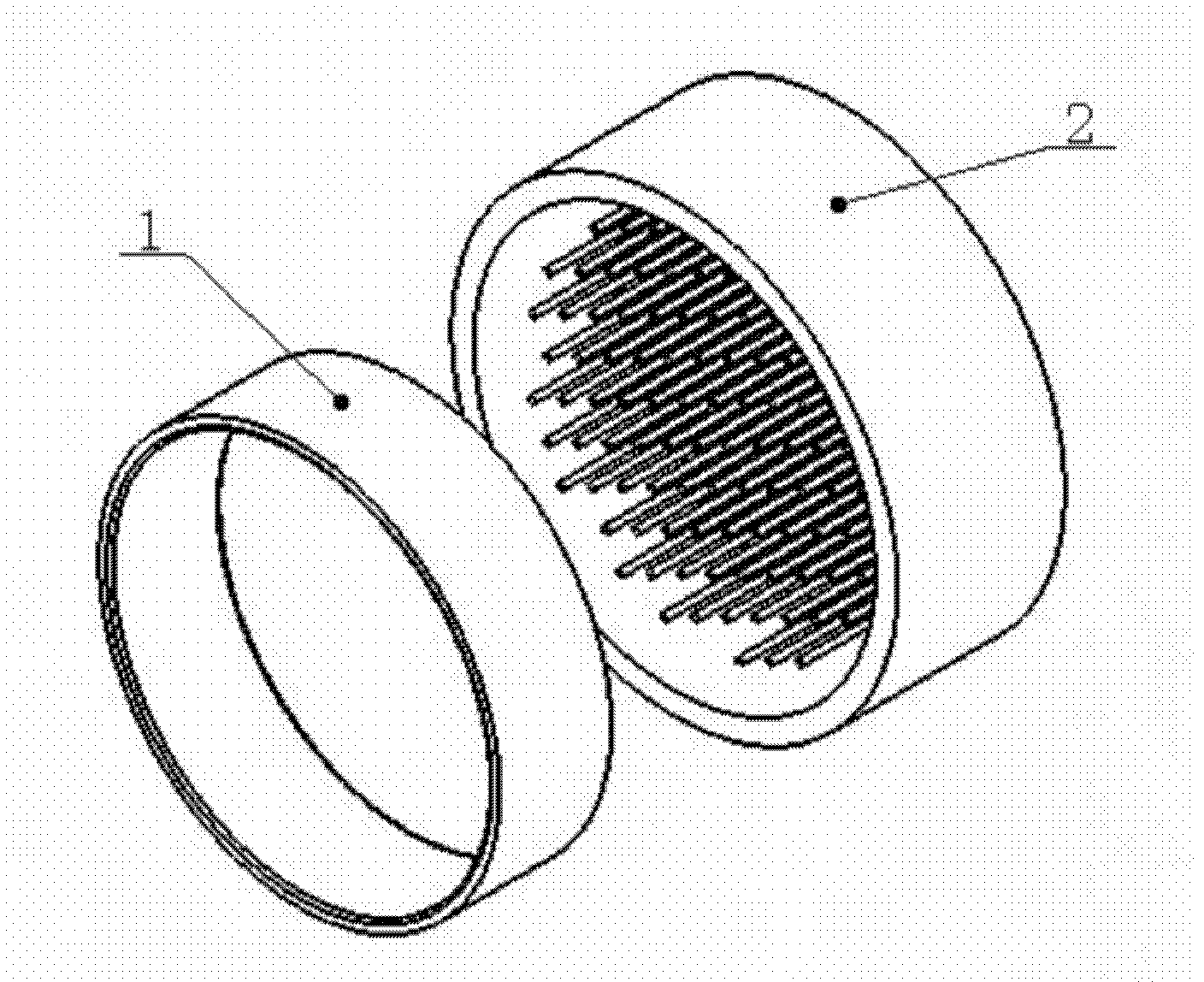 Preparation method of precursor of composite tissues and organs with multichannel multilayer cell structure