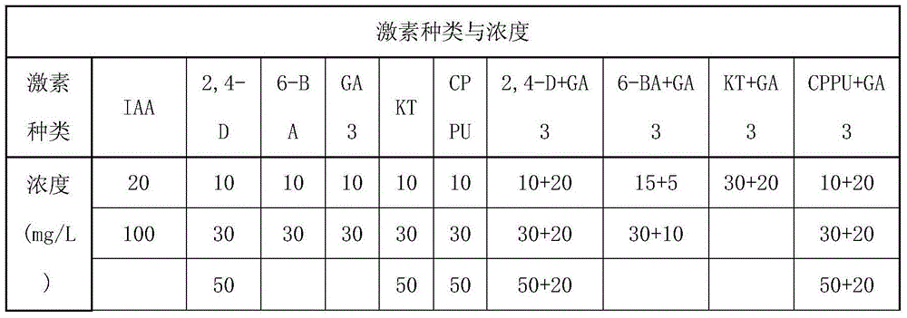 Method for inducing Corsvenor Momordica Fruit parthenocarpy by using hormone