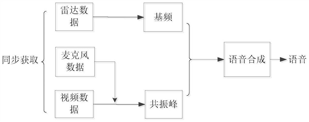 A Speech Synthesis Method Based on Speech Radar and Video