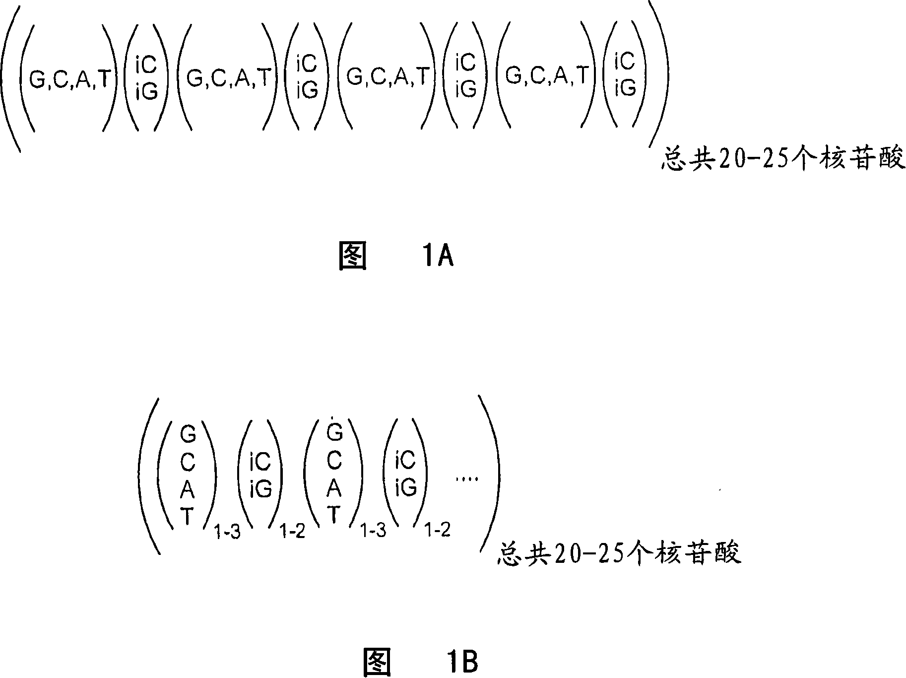 Highly orthogonal universal sequences for use in nucleic acid assays