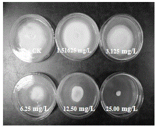 Application of fusaric acid to inhibition of ustilaginoidea virens