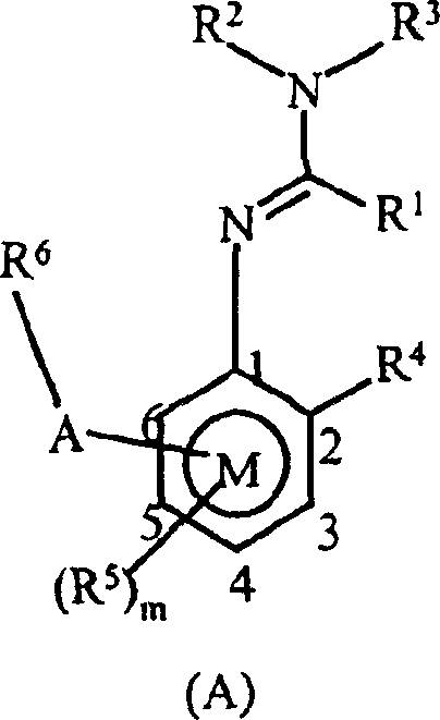 Fungicidal mixture containing arylamidine derivatives and known fungicidal compounds