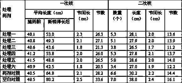 Fruit tree growth regulator composition and application thereof