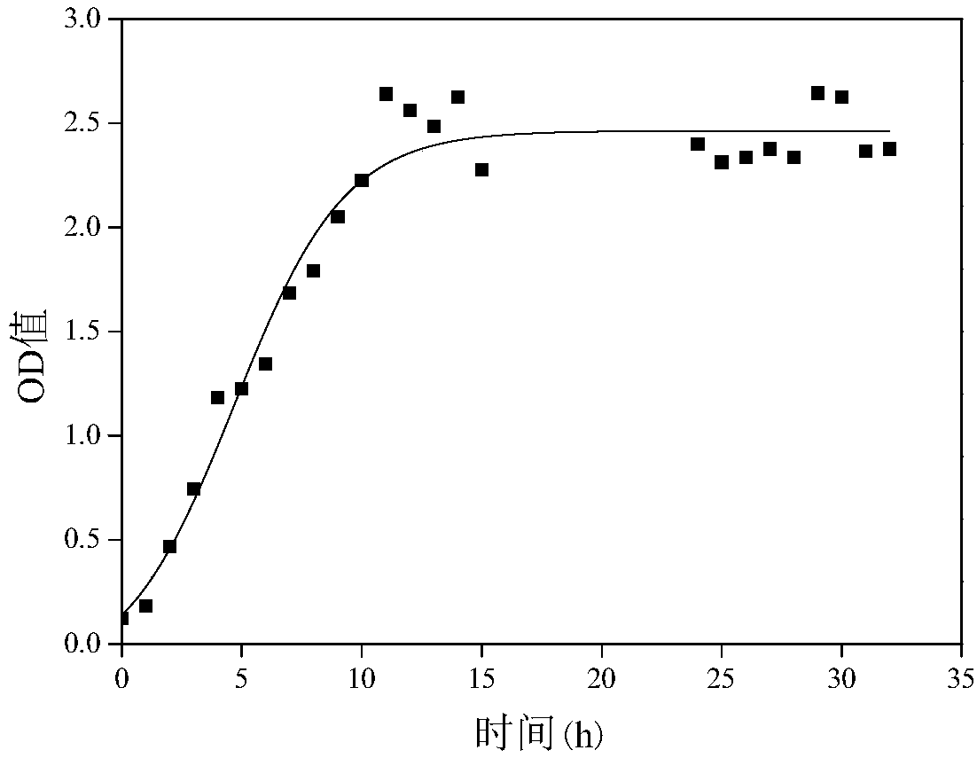 Rhodococcus ruber and application thereof in degradation of organic pollutants