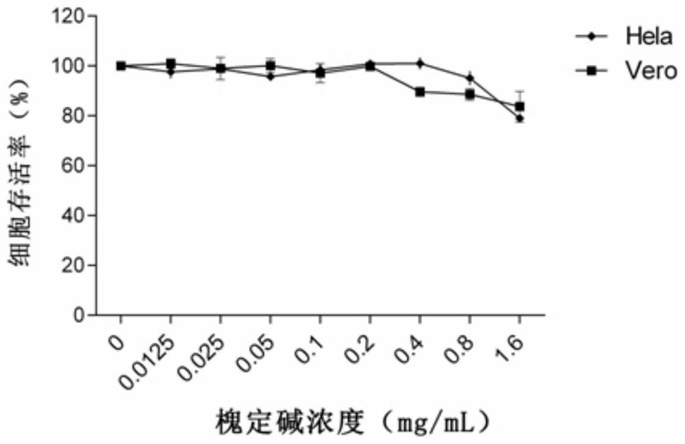 Application of sophoridine in preparation of anti-herpes virus medicine