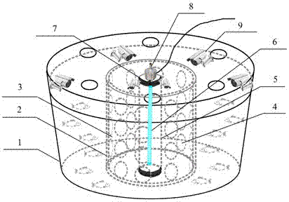 An experimental device and its application for studying the effect of light on fish behavior