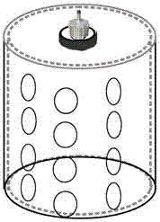 An experimental device and its application for studying the effect of light on fish behavior