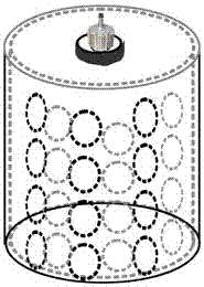 An experimental device and its application for studying the effect of light on fish behavior