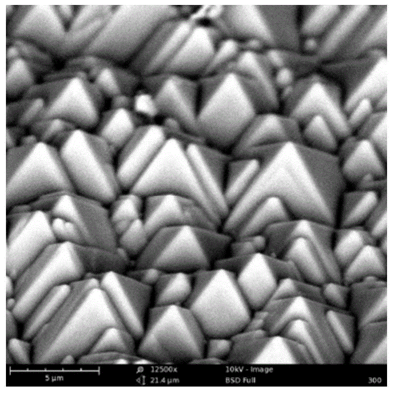 Annealing and wool-making method for monocrystalline silicon wafer