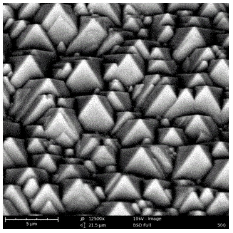 Annealing and wool-making method for monocrystalline silicon wafer