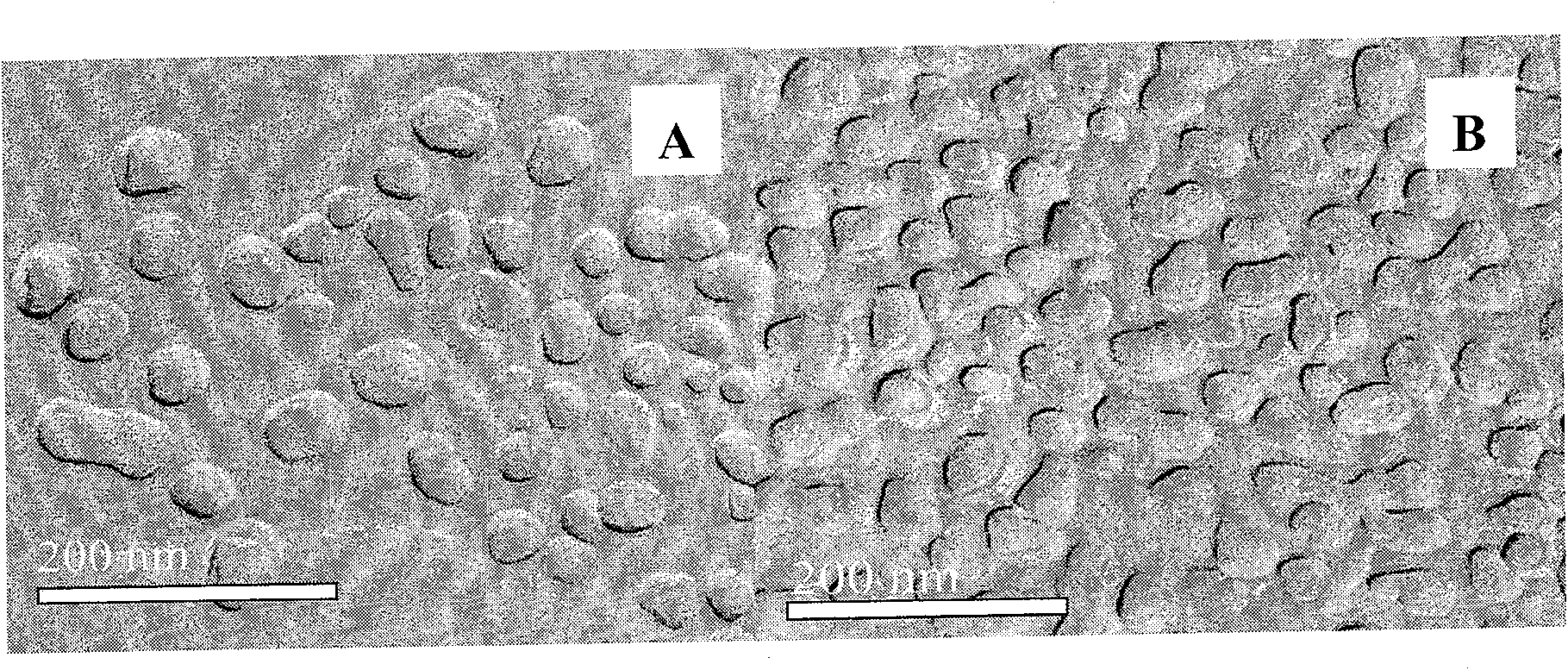 Dihydroartemisinin emulsion for injection, freeze-dried emulsion and preparation method thereof