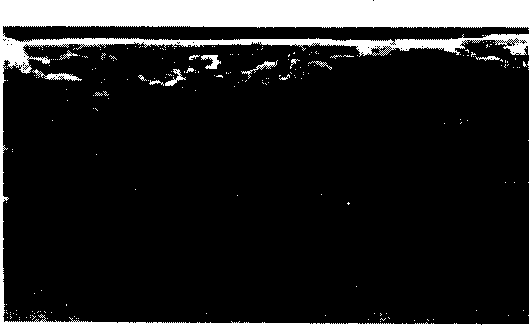 Novel dipolar membrane and use thereof in electrolysis preparation of ferrate