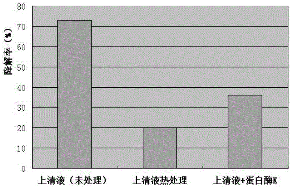 Bacillus subtilis for degrading AFB1 (Aflatoxius B1)