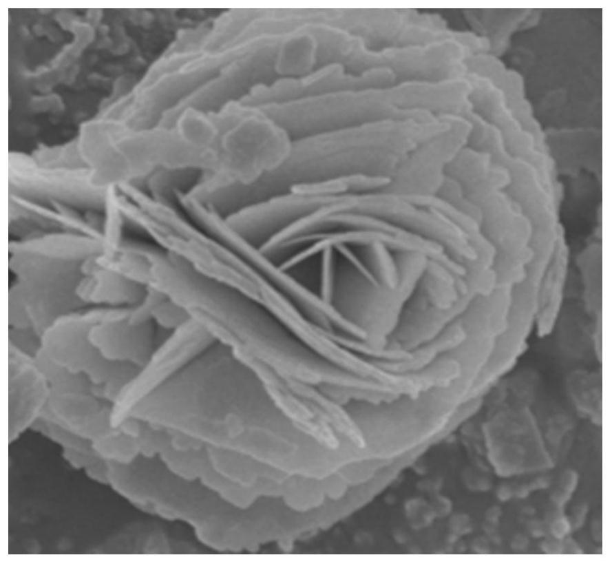 Bismuth/graphite phase carbon nitride/bismuthyl bromate composite photocatalyst as well as preparation method and application thereof