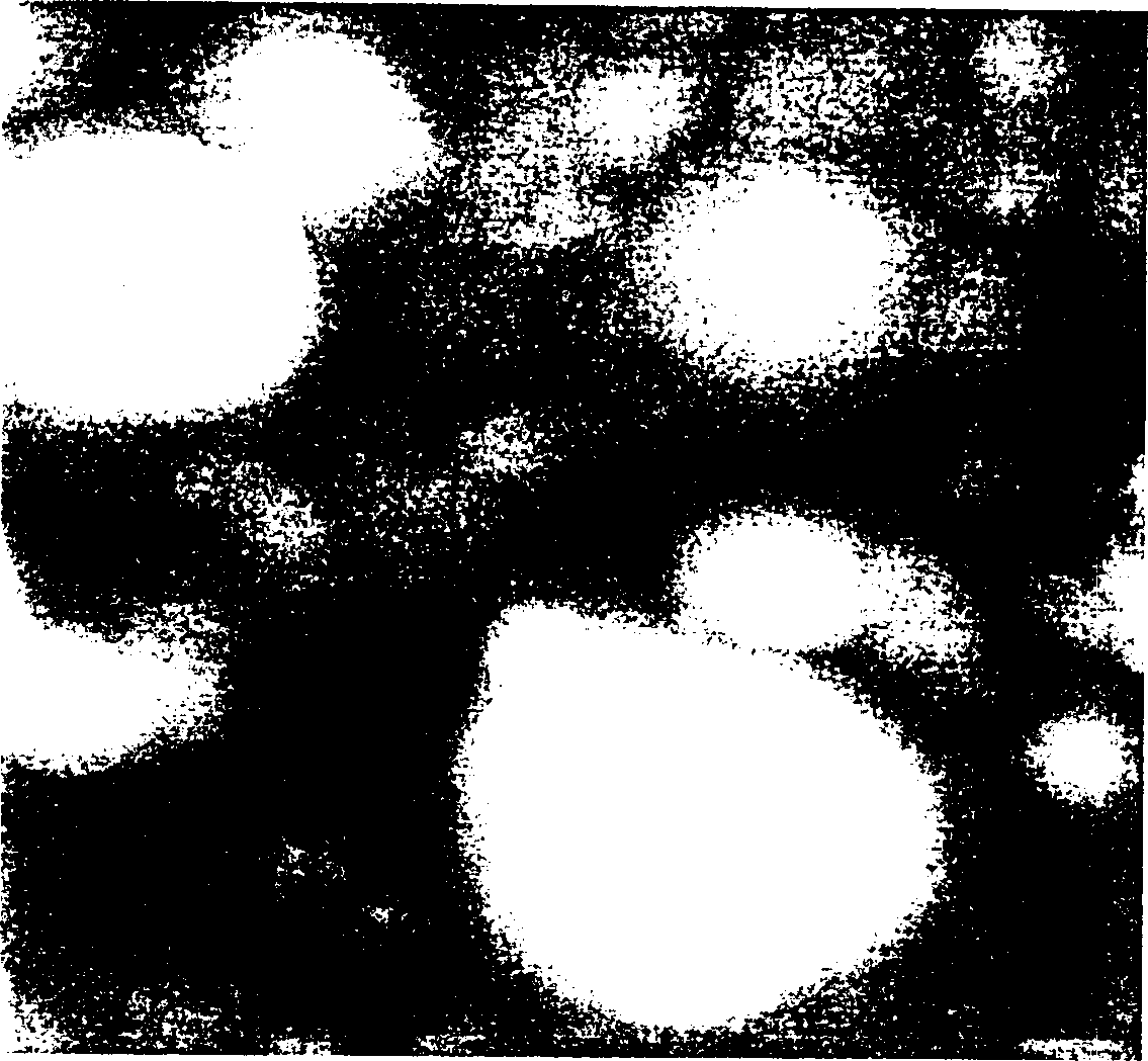 Film-like composite structure and method of manufacture thereof