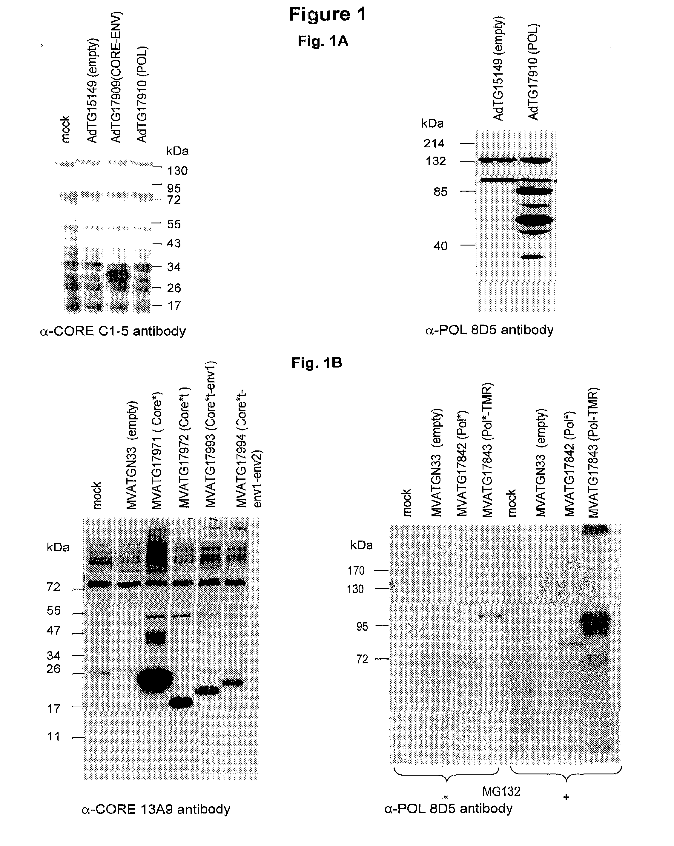 Composition for treating hbv infection