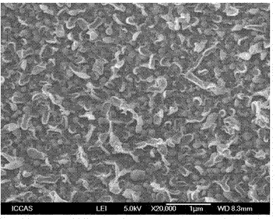 High-temperature resistance polyamide composite membrane and preparation method thereof