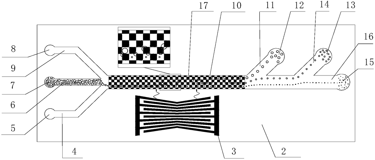 Acoustic surface wave sorting chip undergoing special wettability optimization