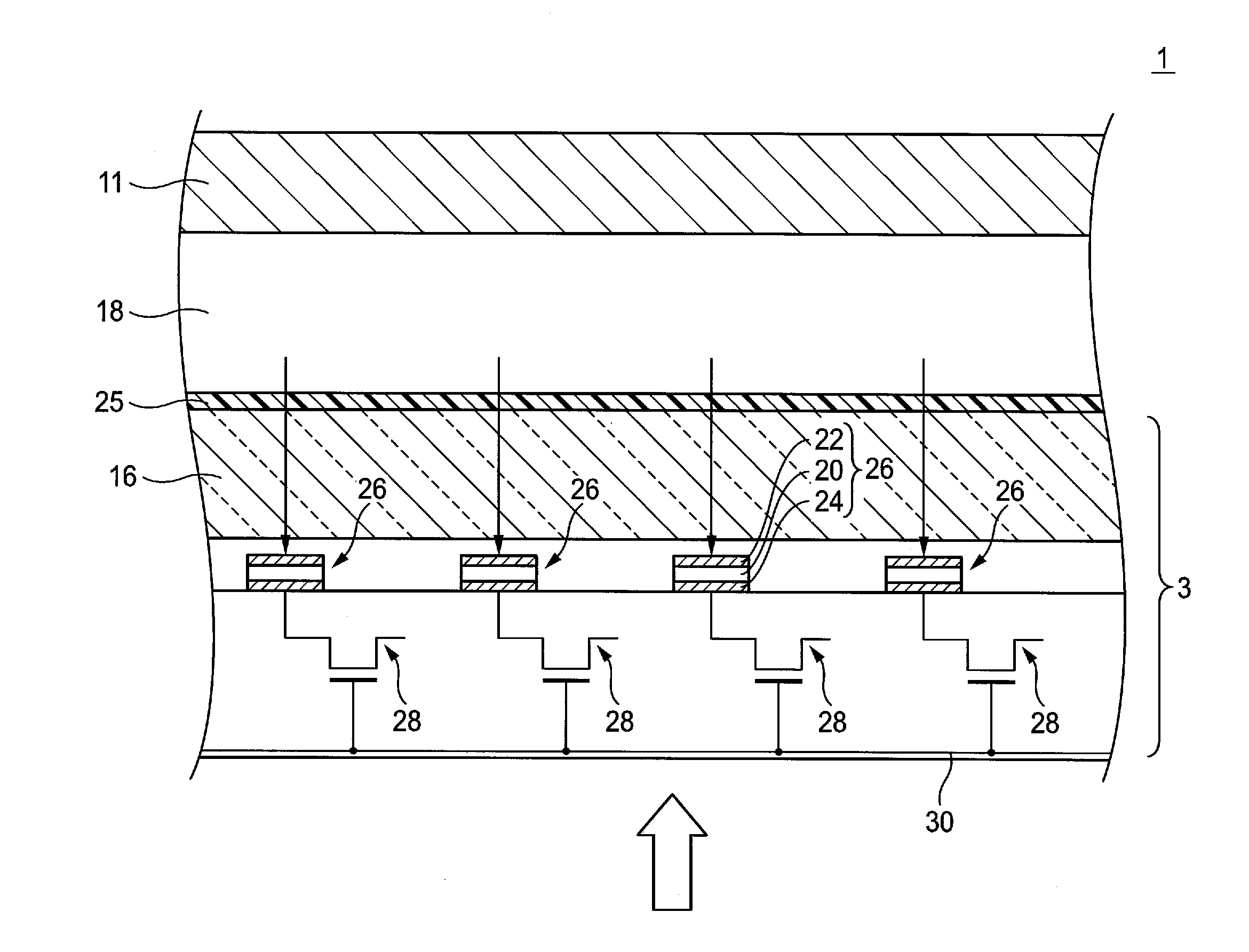 Radiological image detection apparatus