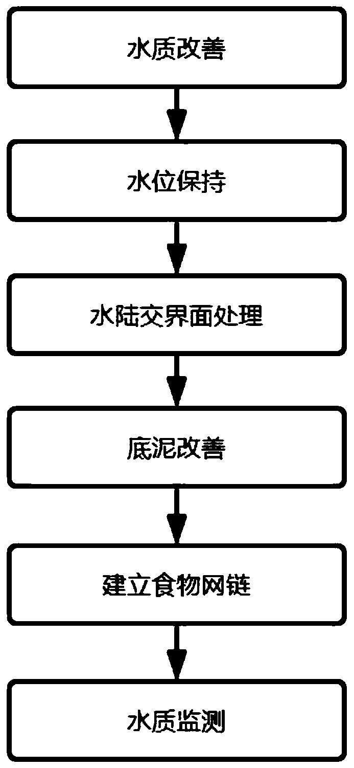 Method for establishing freshwater lake ecosystem