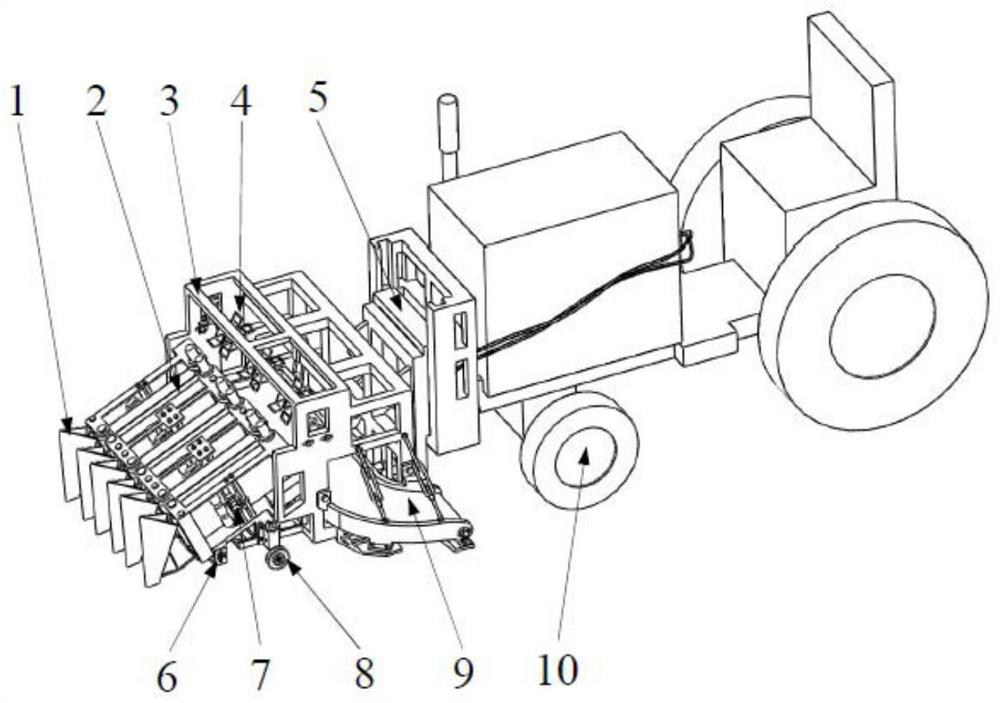 Multi-row Chinese chive harvester