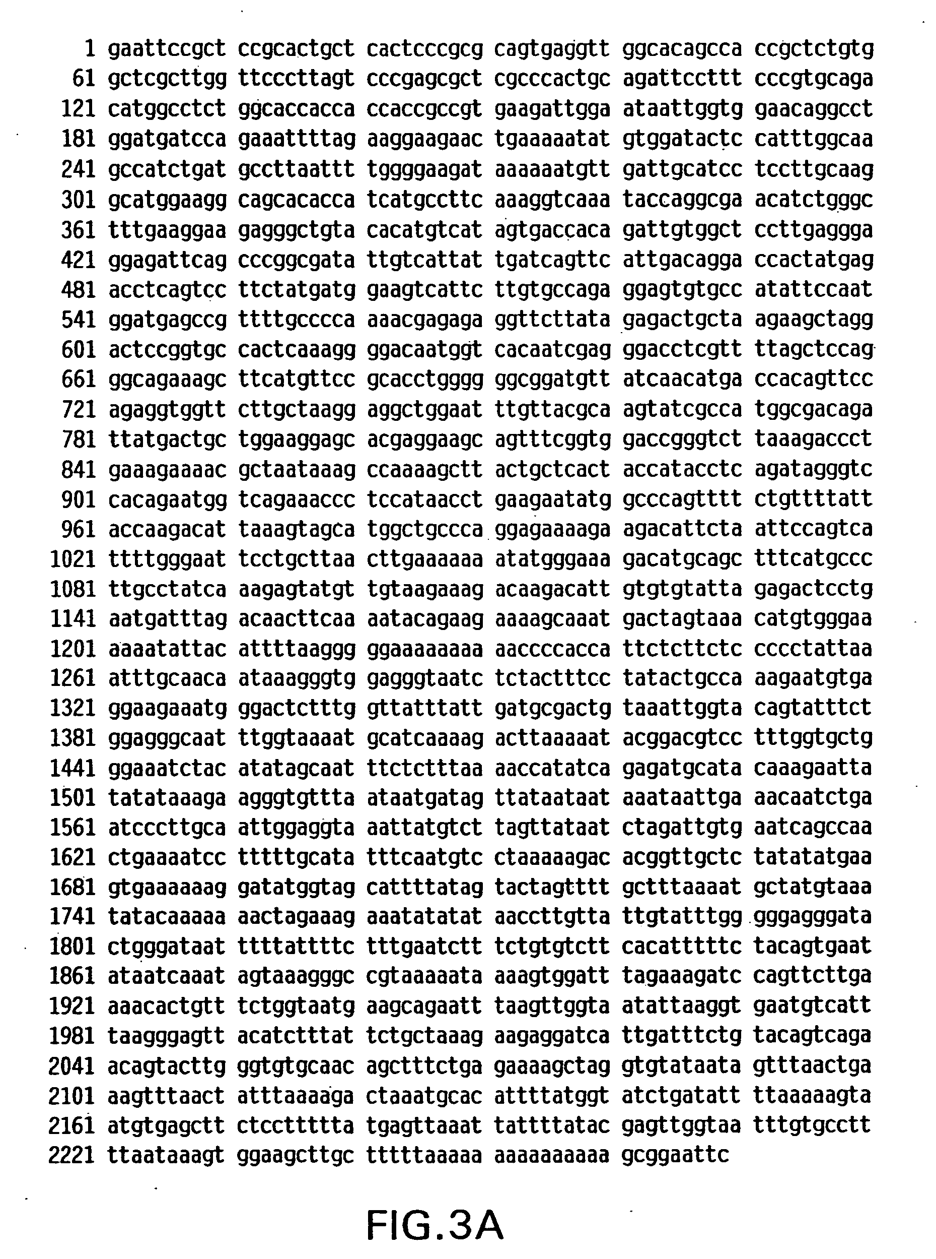 Methylthioadenosine phosphorylase compositions and methods of use in the diagnosis and treatment of proliferative disorders