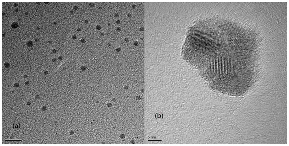 ternary semiconductor pbsns  <sub>3</sub> Nanocrystal and preparation method thereof