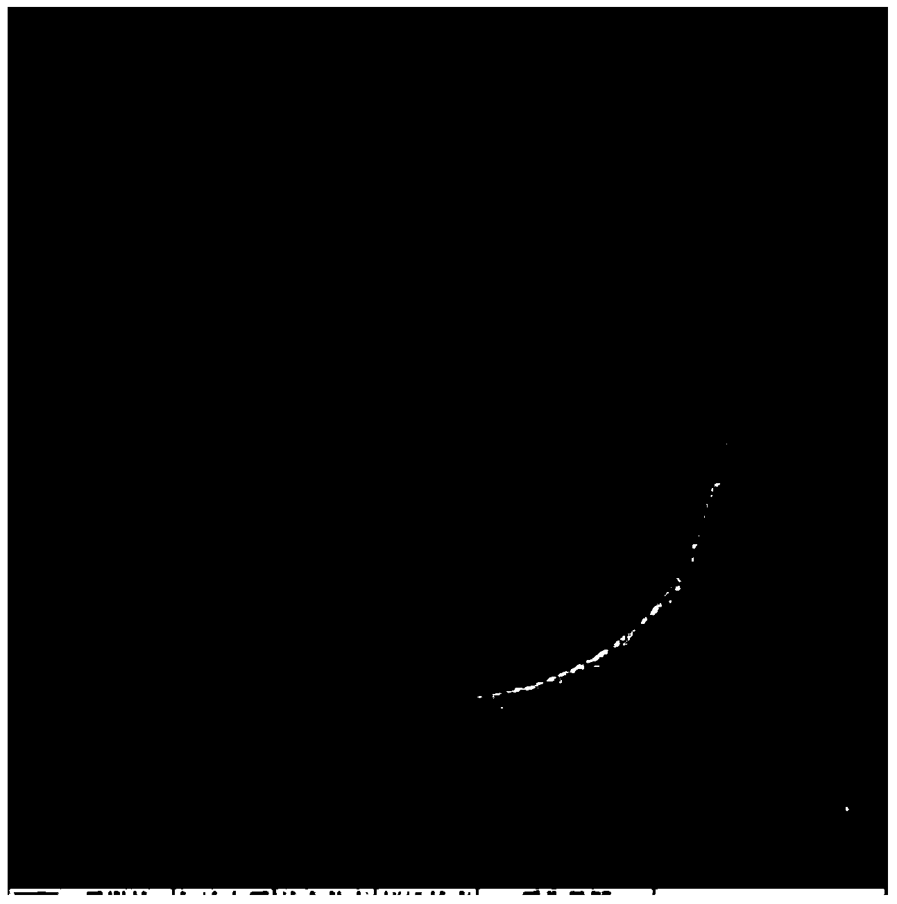 Antibacterial packaging film and preparation method thereof