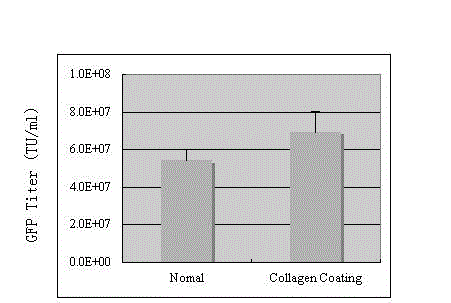 Preparation method of SIV (simian immunodeficiency virus) vector