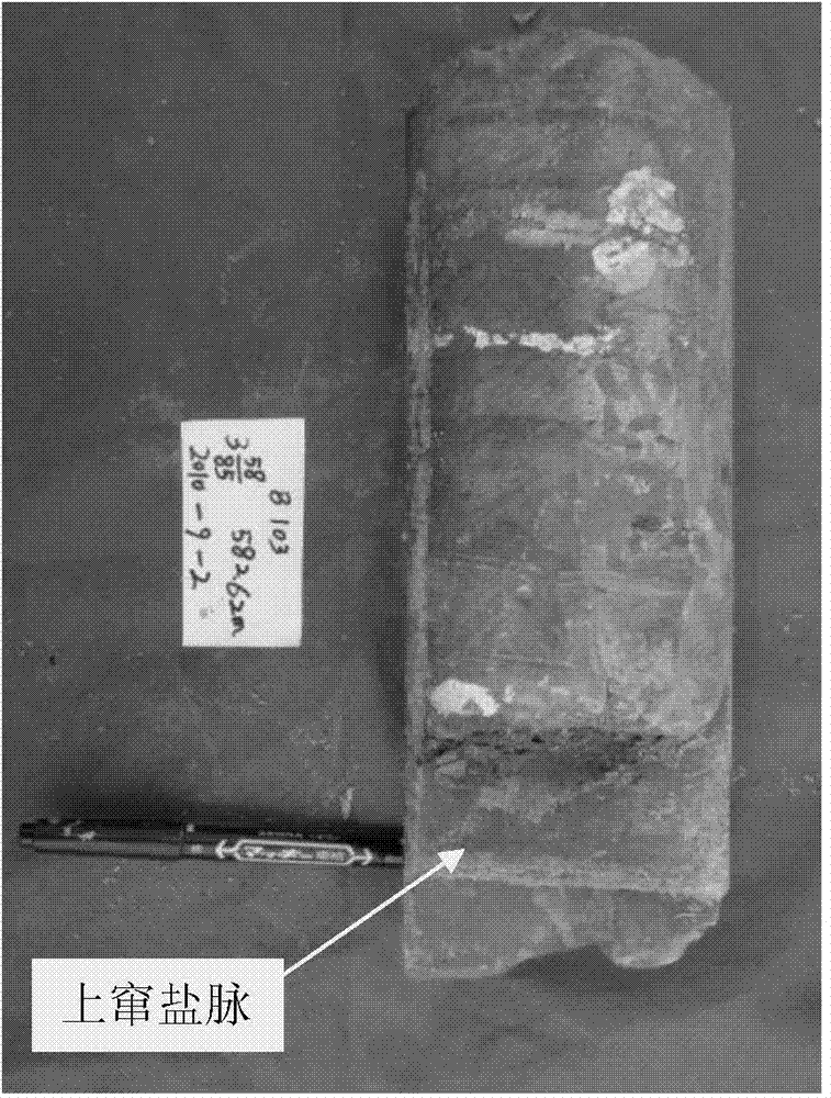 Method for searching for deeply-buried solid sylvite ore deposit