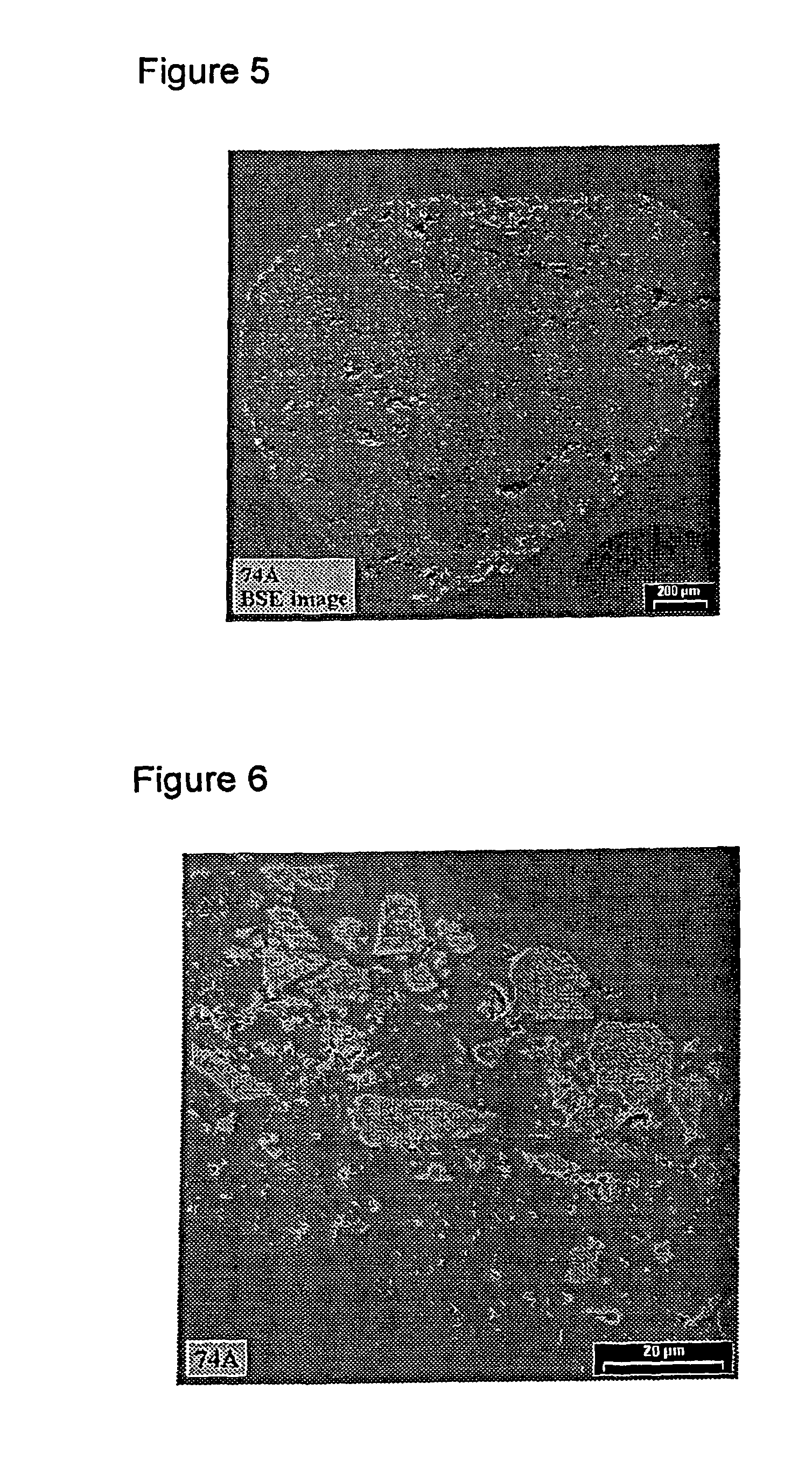 Algae resistant roofing granules with controlled algaecide leaching rates, algae resistant shingles and process for producing same