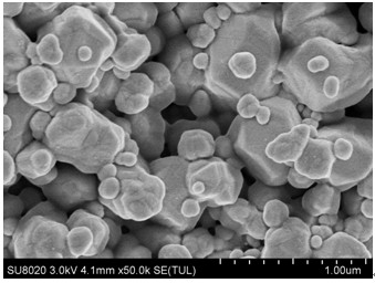 Nano-silver particle mixed conductive ink doped with organic silver and preparation method thereof