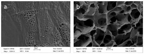 Poplar steam blasting liquid hemicellulose-based hydrogel and preparation method thereof