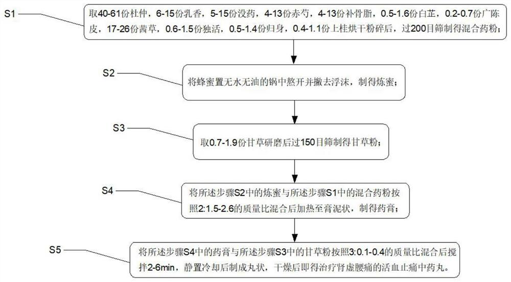 Blood-activating and pain-relieving traditional Chinese medicine pill for treating lumbago due to kidney deficiency and preparation method thereof