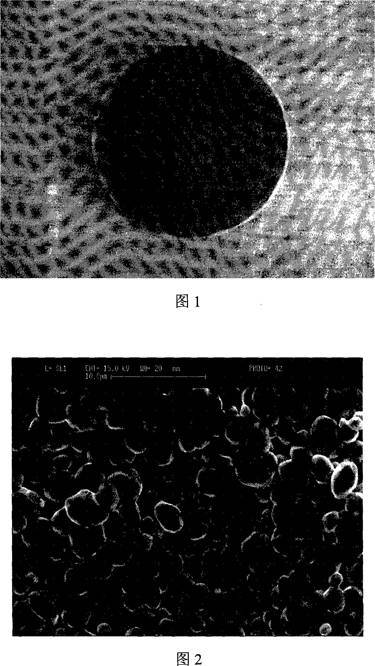 Technique for preparing Li doping ZnO ceramic target material