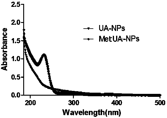 Metformin/ursolic acid nano oral preparation and preparation method thereof