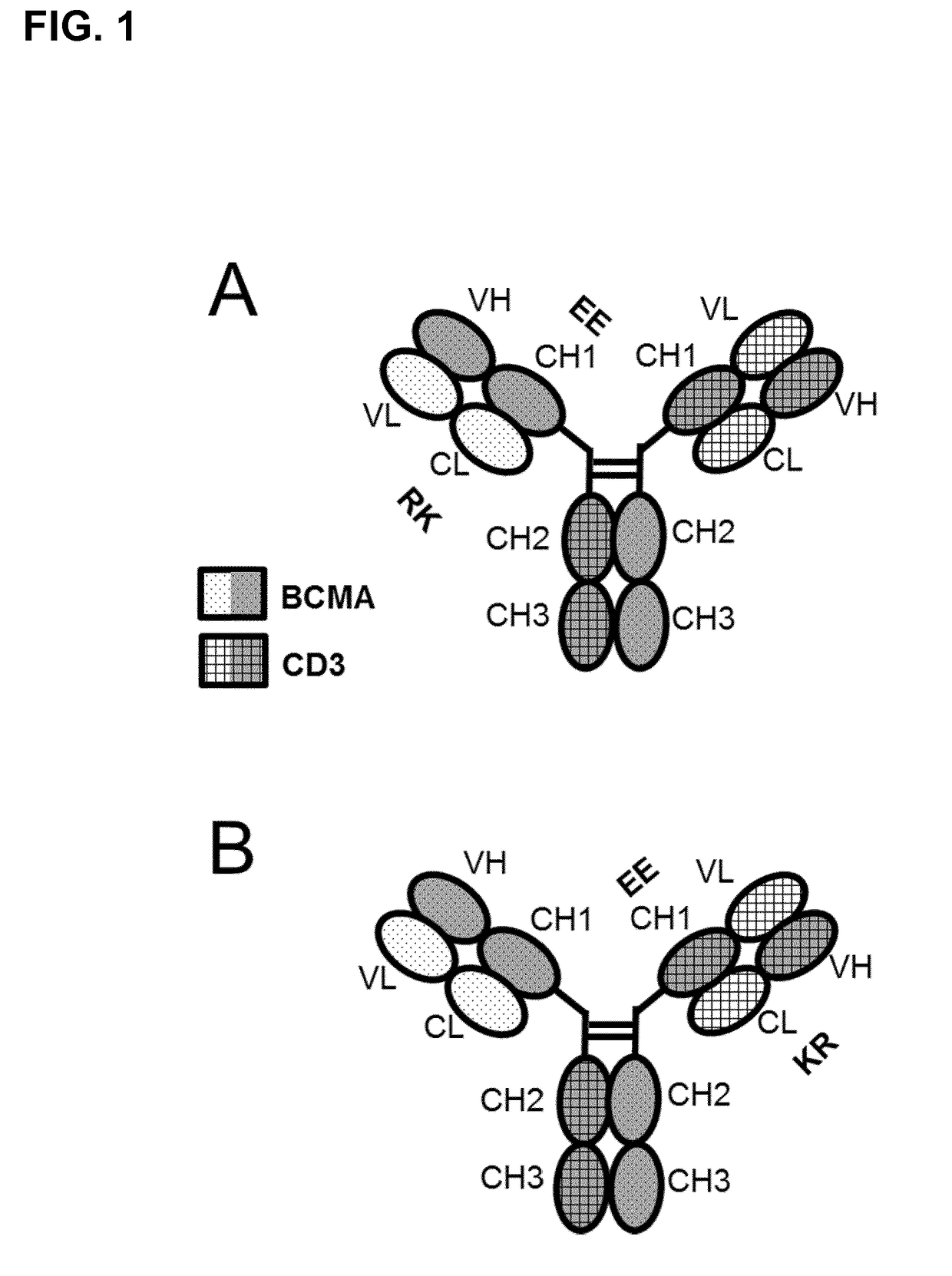 Bispecific antibodies against cd3epsilon and bcma