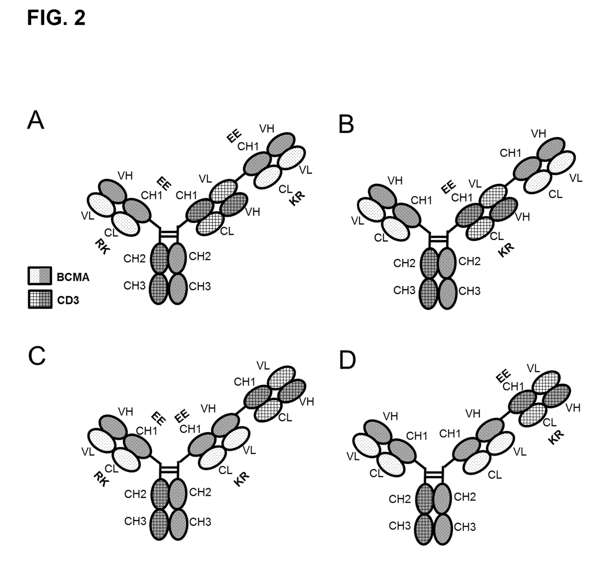 Bispecific antibodies against cd3epsilon and bcma