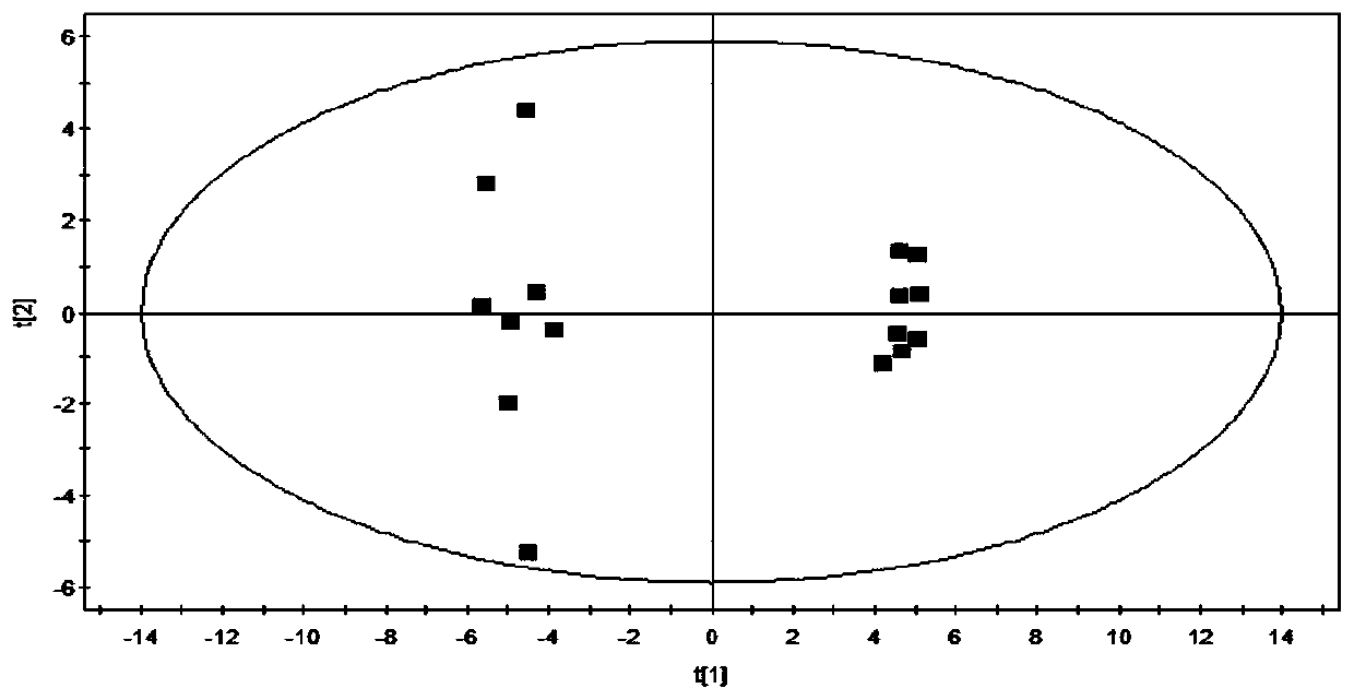 A method for constructing a rat model for anti-oxidative aging drug screening based on metabolomics analysis