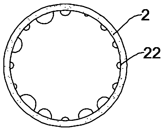 A feed grinding device with drying function